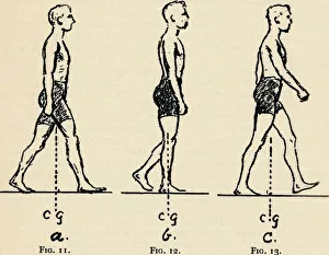 Depicting Main Principles of Locomotion, 1940