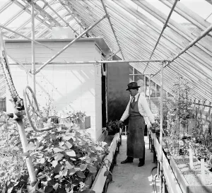 Fibre Prints: Dept. of Agriculture, between 1910 and 1920