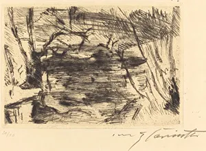 Berlin Germany Gallery: Der Neue See (The New Lake), 1920 / 1921. Creator: Lovis Corinth