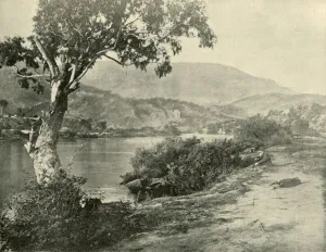 Tasmania Gallery: The Derwent at New Norfolk, 1901. Creator: Unknown