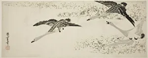 Nagaban Surimono Prints: Descending Geese, c. 1830. Creator: Ando Hiroshige