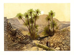 Fw Holland Gallery: The Desert of Sinai, Egypt, c1870.Artist: W Dickens