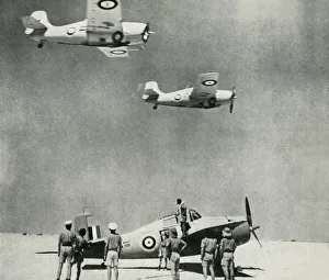 Air Force Prints: Desert Squadron - planes of the Fleet Air Arm during the Second World War, c1943