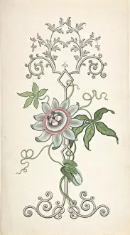 Hulme Gallery: Design for Panel Decoration Centered on a Passion Flower, 1828-40. Creator: J Hulme
