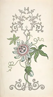 Hulme Prints: Design for Panel Decoration Centered on a Passion Flower, 1828-40. Creator: J Hulme