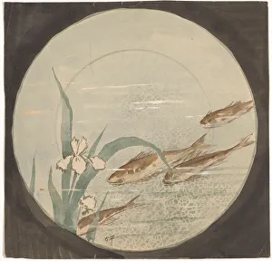 Graphite Mineral Prints: Design for a plate with four brown fish and a white iris