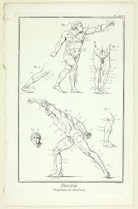Encyclopedia Prints: Design: Proportions of the Gladiator