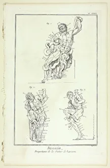 Michel Antoine David Prints: Design: Proportions of the Laocoon statue