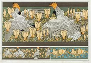 Cockatoo Gallery: Design for wallpaper border Cockatoo and Magnolia, pub. 1897. Creator