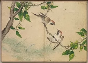 Zhang Ruoai Gallery: Desk Album: Flower and Bird Paintings (Gossiping Sparrows), 18th Century. Creator