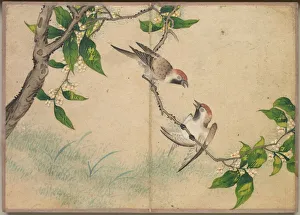 Desk Album: Flower and Bird Paintings (Gossiping Sparrows), 18th Century. Creator