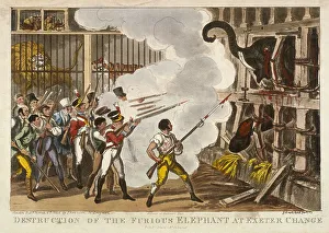 Destruction of the furious elephant at Exeter Change, 1826. Artist: George Cruikshank
