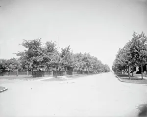 Ontario Canada Prints: Devonshire Road, looking north, Walkerville, Ont. between 1905 and 1915. Creator: Unknown