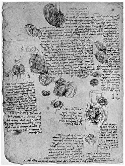 Diagram of the blood vortex in the heart, late 15th or early 16th century (1954). Artist: Leonardo da Vinci