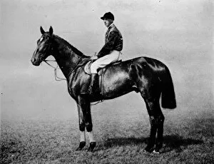 Horse Race Gallery: Diamond Jubilee, 1911