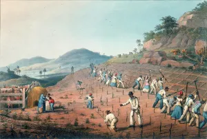 Clark Prints: Digging the cane holes, Antigua, 1823. Creator: William Clark