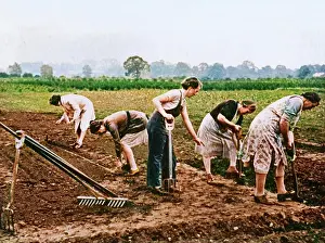 Farmer Prints: Digging and Planting, 1943. Creator: Unknown