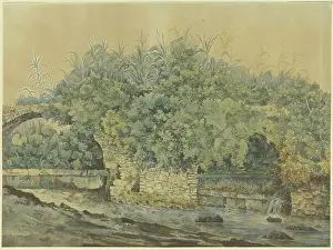 Overgrown Prints: Dilapidated stone bridge over a stream