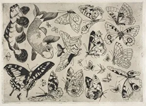 Dinner Service (Rousseau service): Butterflies and Fish (no