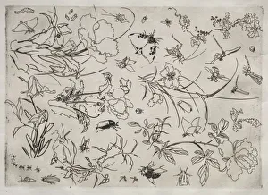 Dinner Service (Rousseau service): Flowers and Insects (no