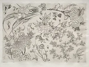 Dinner Service (Rousseau service): Flowers (no. 23), 1866. Creator: Felix Bracquemond (French