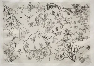 1833 1914 Prints: Dinner Service (Rousseau service): Flowers (no)