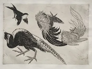 Dinner Service (Rousseau service): Pheasants and bird (no