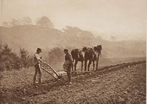 Dinnertime, between 1889 and 1891. Creator: Frank Meadow Sutcliffe