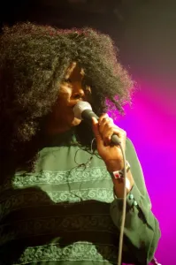 Dionne Bennett, Love Supreme Jazz Festival, Glynde Place, East Sussex, 2014. Artists