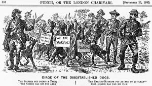 Dirge of the Disestablished Dogs, 1882
