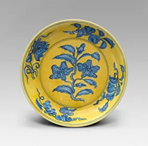 Underglaze Blue Gallery: Dish with Floral and Fruit Sprays ('Gardenia Dish'), Ming dynasty