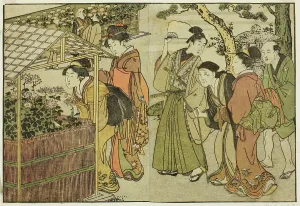 Double Page Prints: Display of Chrysanthemums, from the illustrated book Picture Book: Flowers of