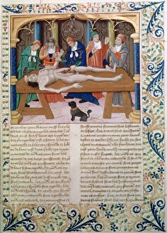 Bartholomeus Gallery: Dissection, late 15th century