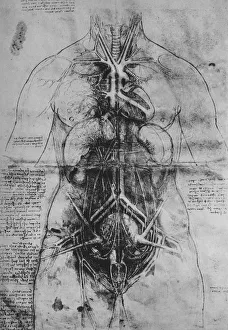 Wash Prints: Dissection of the Principal Organs of a Woman, c1480 (1945). Artist: Leonardo da Vinci