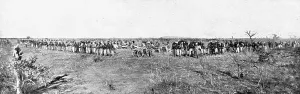 Distant Fronts, At Ouaddai; Fighting in Gazere, May 1916, 1917. Creator: Unknown