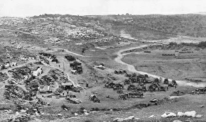 Bivouac Prints: Distant Fronts, In Palestine; Bivouac of a division in the mountains of Judea