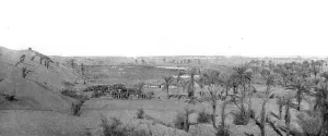 Palestinian Prints: Distant Fronts, In Palestine; Camp in an oasis in the Sinai desert, 1917. Creator: Unknown