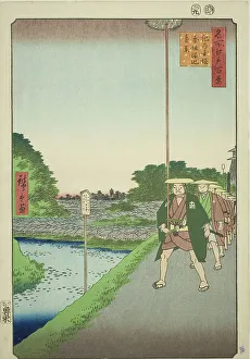 Reservoir Prints: Distant View of Akasaka Reservoir from Kinokuni Slope (Kinokunizaka Akasaka Tameike enkei)