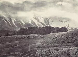 Cedar Gallery: Distant View of the Cedars of Lebanon, ca. 1857. Creator: Francis Frith