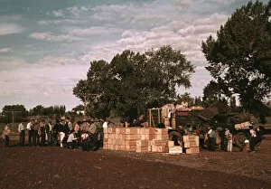 Boxes Collection: Distributing surplus commodities, St. Johns, Ariz. 1940. Creator: Russell Lee
