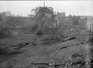 District of Columbia Parks - Cutting Trees On Mall Sites For War Buildings, 1917. Creator: Harris & Ewing. District of Columbia Parks - Cutting Trees On Mall Sites For War Buildings, 1917. Creator: Harris & Ewing