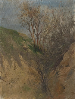 Ditch Prints: Ditch, around 1900. Creator: Ladislav Mednyanszky