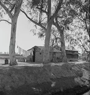 Shacks Prints: Ditch bank housing for Mexican field workers