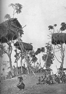 Dobos, tree houses for unmarried women in Melanesia, 1902. Artist: W Lindt Dobos, tree houses for unmarried women in Melanesia, 1902. Artist: W Lindt