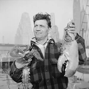 Large Gallery: Dock stevedore at the Fulton fish market holding giant lobster claws, New York, 1943