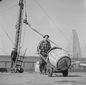 Trolley Gallery: Dock stevedore at the Fulton fish market moving a barrel of codfish, New York, 1943