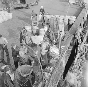 Dock stevedores at the Fulton fish market sending up baskets of fish... New York, 1943. Creator: Gordon Parks