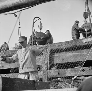 Dock stevedores at the Fulton fish market sending up baskets of fish... New York, 1943. Creator: Gordon Parks