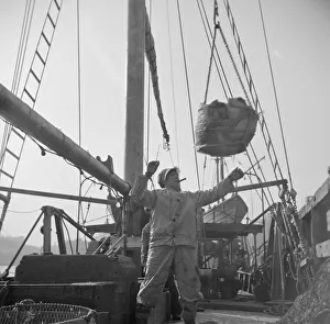 Dock stevedores at the Fulton fish market sending up baskets of fish from the... New York, 1943. Creator: Gordon Parks