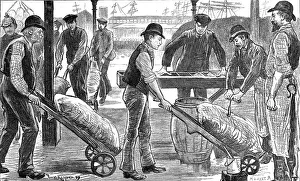 Import Prints: Dockers unloading sugar at West India Docks, London, 1889
